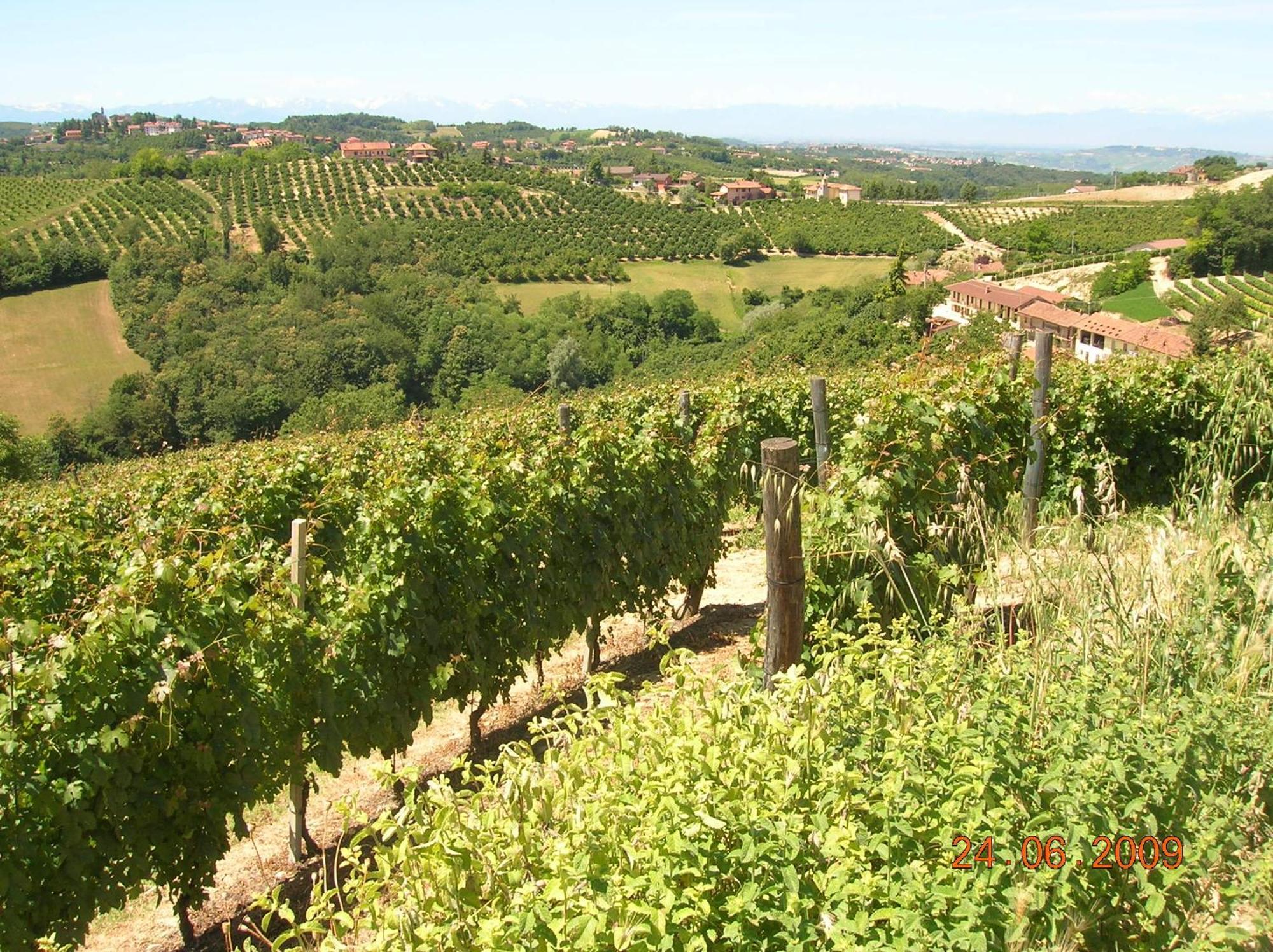 Tenuta Calabiana Диано-д'Альба Экстерьер фото